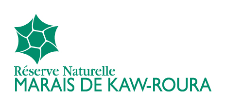 la-reserve-naturelle-marais-kaw-roura-maunakea